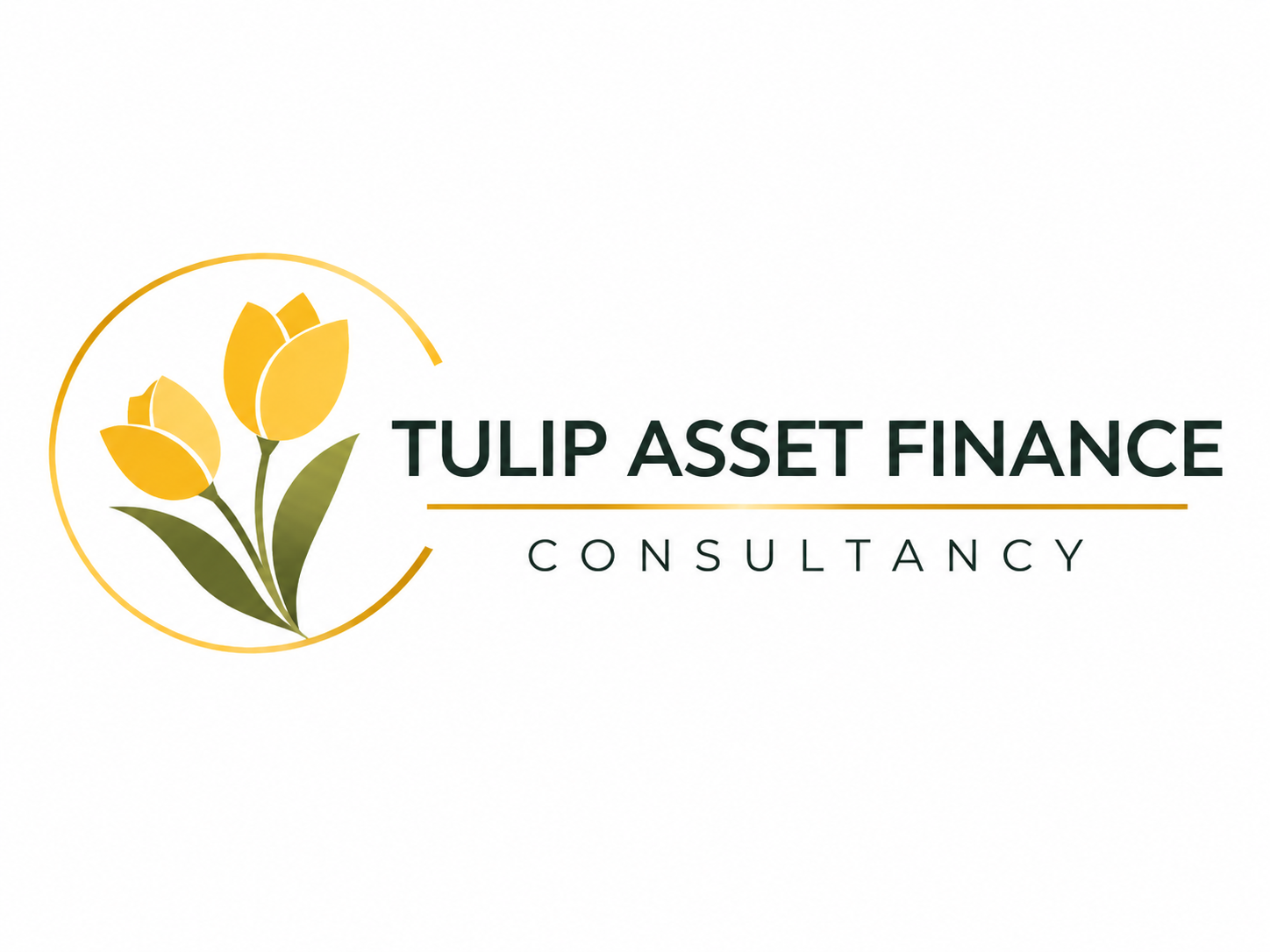 Tulip Asset Finance Consultancy